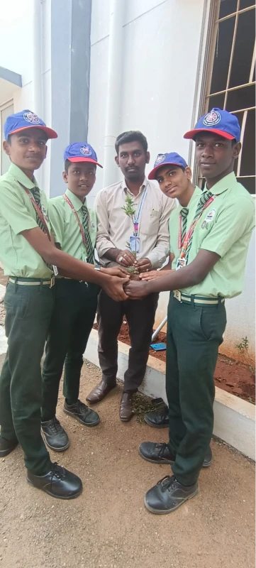 Nss-Activity